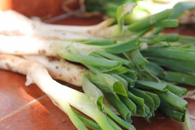 Calçots con salsa romescu