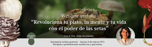 Tarta de fresa y yogur y webinario gratuito