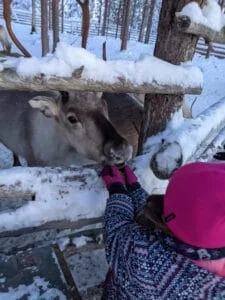 Viaje a Laponia con niños. Conocer a Papá Noel y no arruinarse