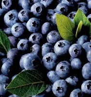 Los Frutos Rojos en la lucha contra el Cáncer