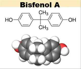 Bisfenol A y su relación con el cáncer de mama