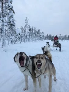 Viaje a Laponia con niños. Conocer a Papá Noel y no arruinarse