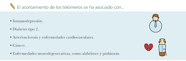 ¿Cómo frenar el envejecimiento?