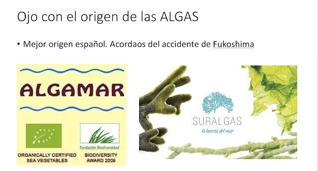 Las algas, un aliado para la salud que proviene del mar