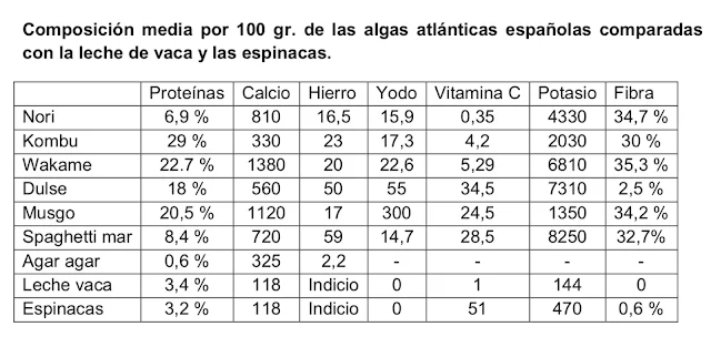 Las algas, un aliado para la salud que proviene del mar
