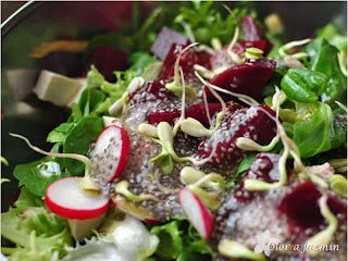 Ensalada Viva por Elisa