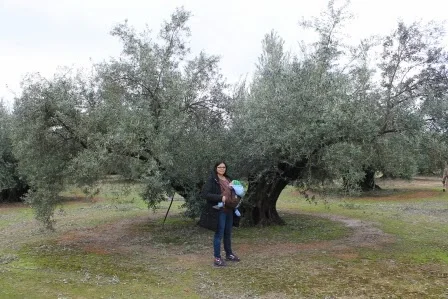 I Encuentro de Enamorados del Aceite de Oliva Virgen Extra