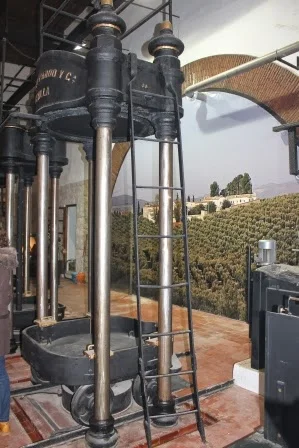 I Encuentro de Enamorados del Aceite de Oliva Virgen Extra