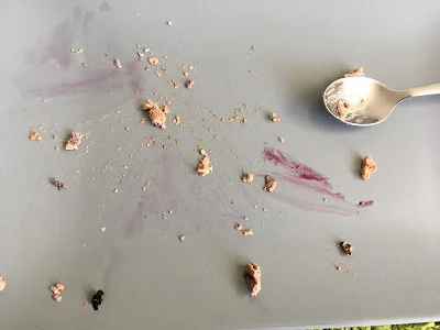 Muffin de arándano saludable a la taza, listo en 1 minuto. Sin azúcar, sin lácteos, sin harina y sin cereal