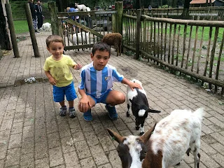 Viviendo el momento presente. Holanda con niños