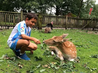 Viviendo el momento presente. Holanda con niños