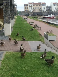Viviendo el momento presente. Holanda con niños