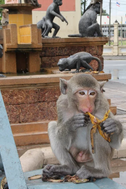 Tailandia en Familia (II). ¡¡Un viaje a Tailandia con 3 niños!!