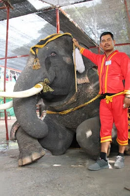 Viaje en familia a Tailandia (III). Conociendo el antiguo reino de Siam