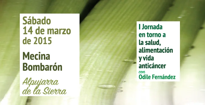 Nuevas conferencias:Bolaños de Calatrava y Mecina Bombarón, 13 y 14 de Marzo