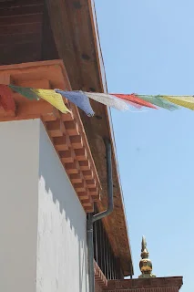 Conociendo la mente... un viaje a mi interior