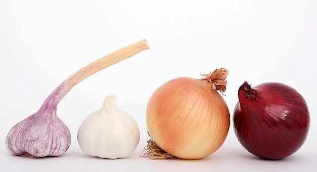Las mejores Verduras contra el cáncer