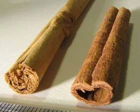 Canela de Ceilán frente a canela cassia