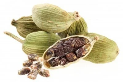 Semillas y vainas de cardamomo verde