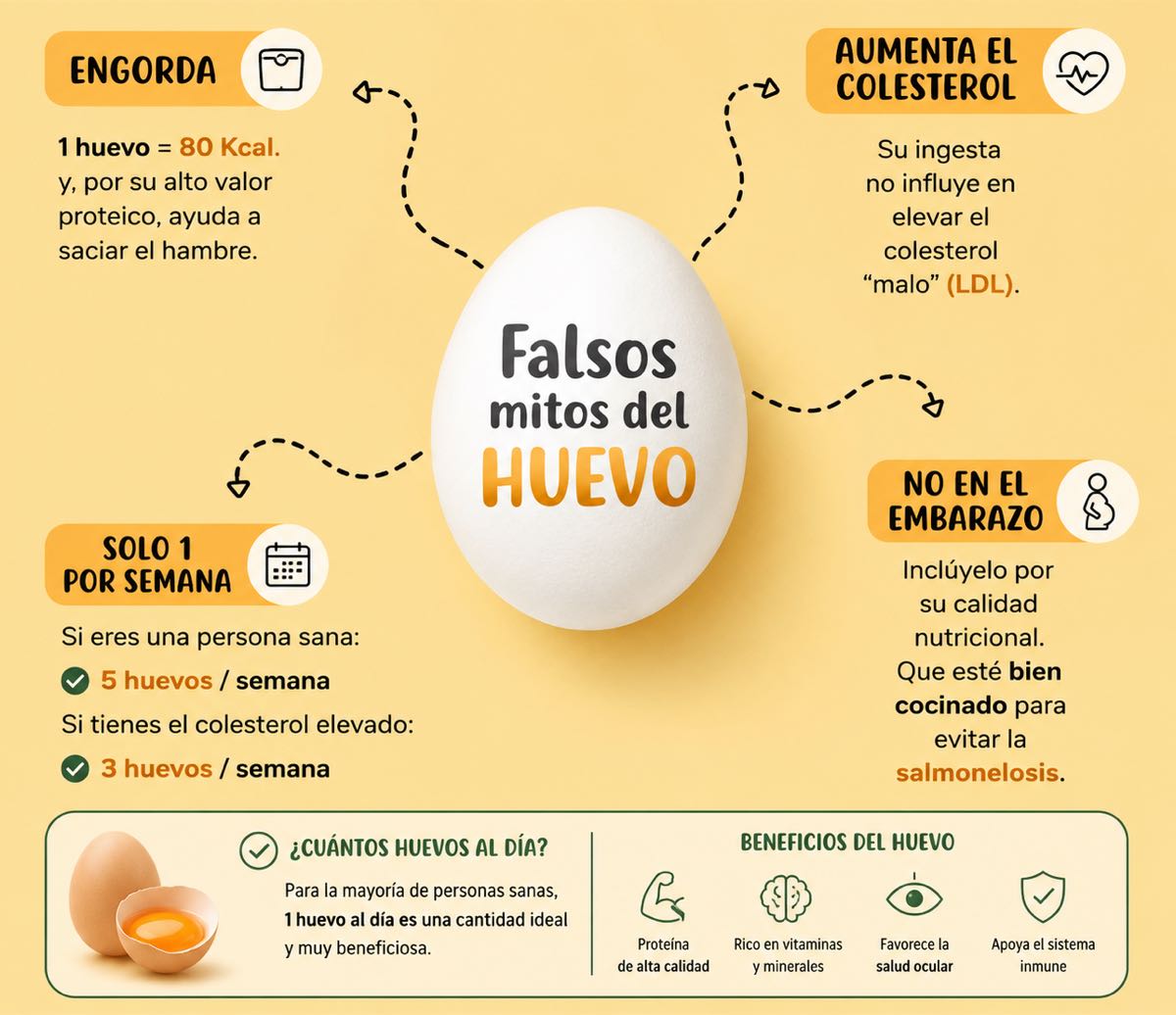 Infografía con los falsos mitos del huevo: engorda, colesterol y embarazo