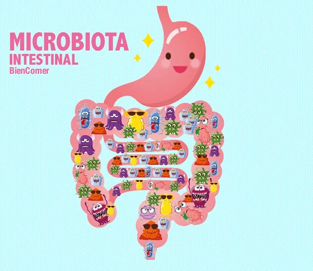 Ilustración de la microbiota intestinal