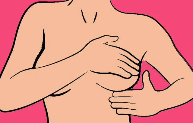 Prevención del cáncer de mama con la dieta mediterránea