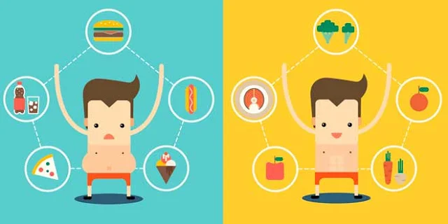 Alimentación y estilo de vida que determinan la flora intestinal