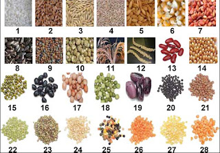 Los 94 alimentos con demostrado potencial anticancer (para prevenir el cáncer)