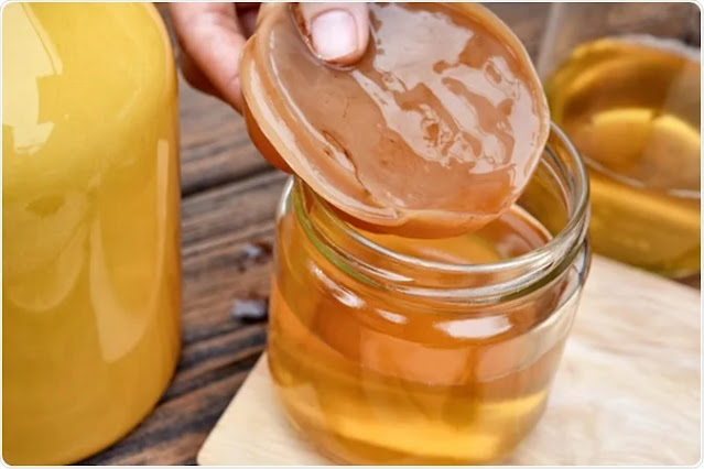 Kombucha, una bebida fermentada para potenciar la salud