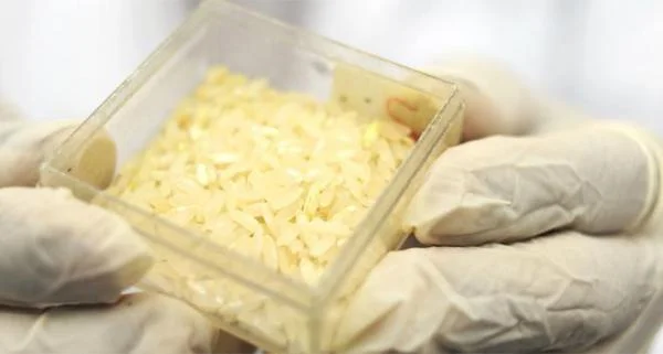 Arroz, cuidado con el arsénico. Puede afectar a tu salud y en especial a la de los niños