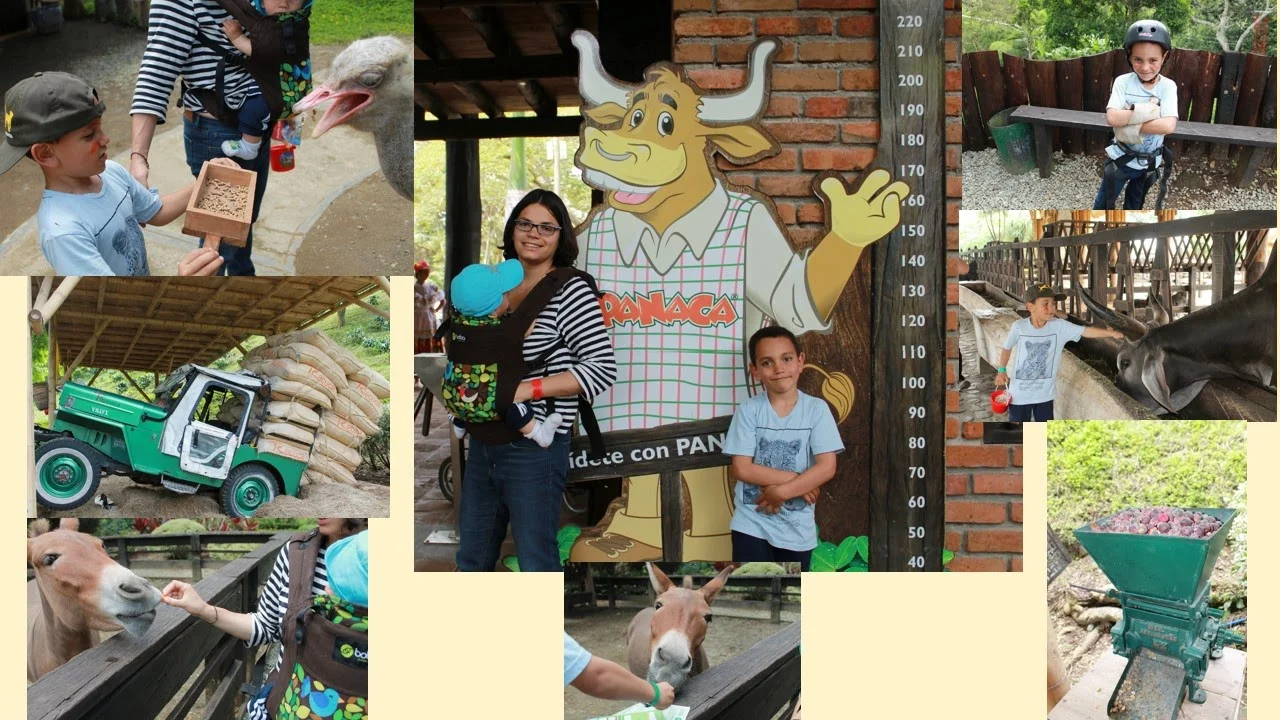 Presentación de Mis Recetas Anticáncer en Colombia. Crónica de una experiencia inolvidable