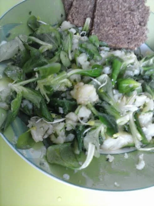 ENSALADA TIBIA DE COLIFLOR AL PESTO por Irene Alvarez