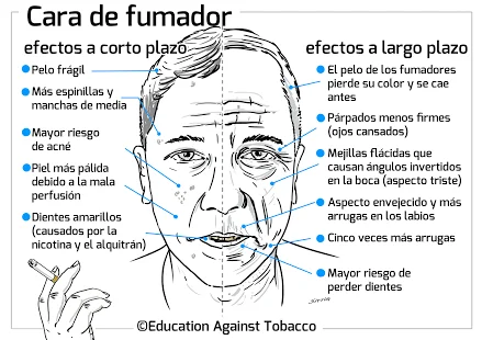 La salud de la piel y la alimentación. Como prevenir el acné, las arrugas, la psoriasis y el daño inducido por la radioterapia