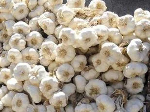Ajo contra el cáncer: propiedades y cómo consumirlo