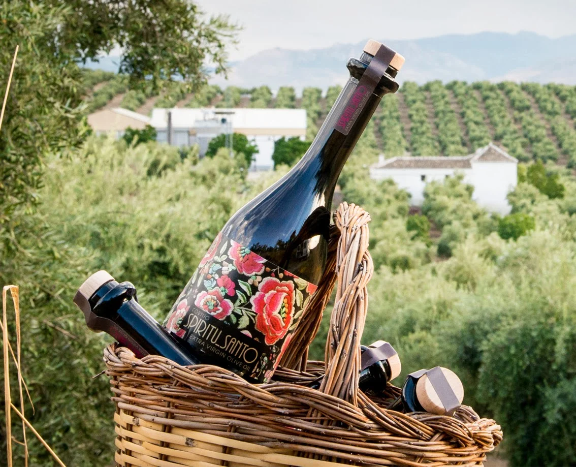 Día de Andalucía y cata del aceite Espíritu Santo (Jaén Selección)