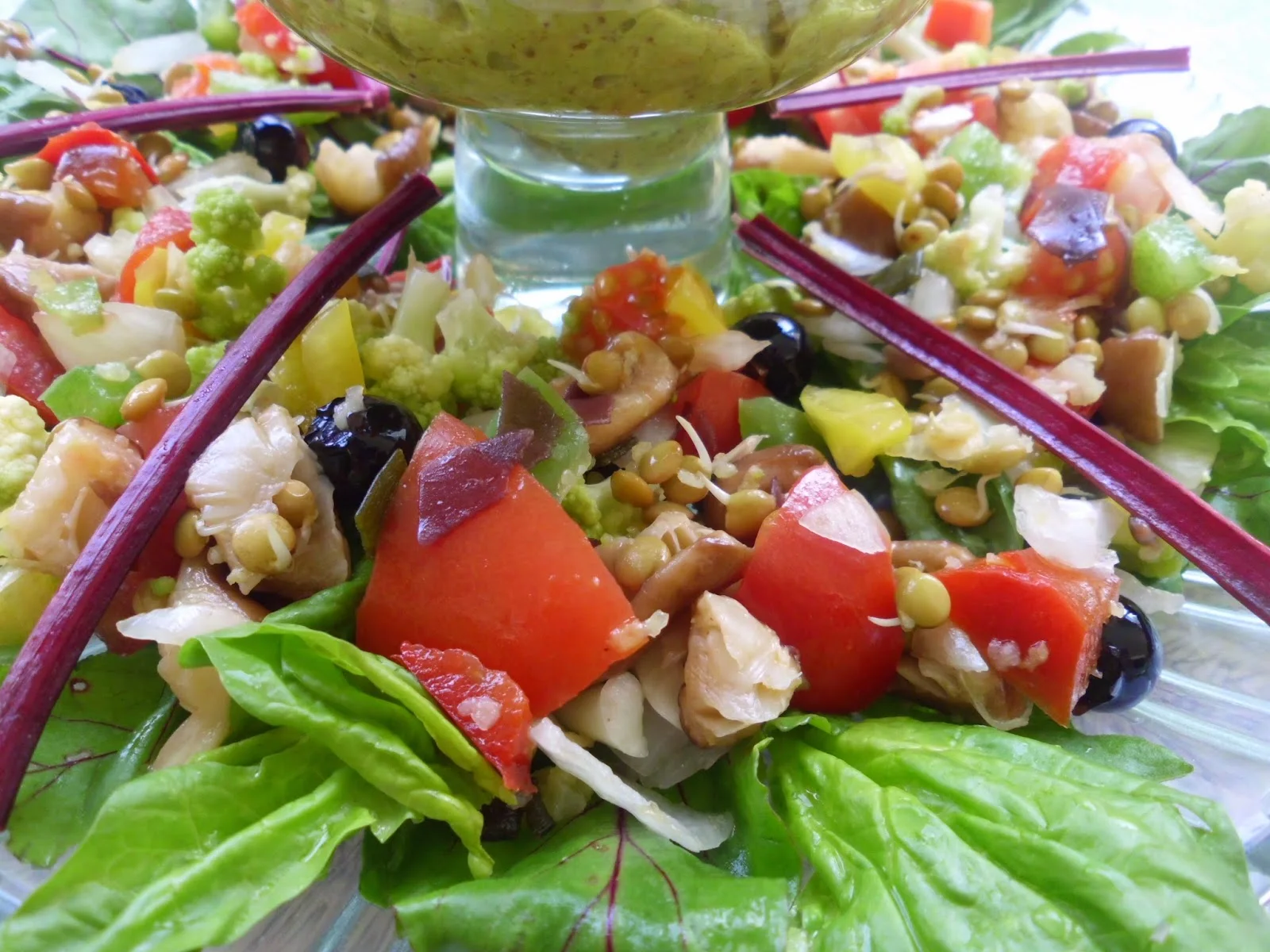 receta saludable anticáncer Dra. Odile Fernández alimentación medicinal
