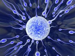 Fertilidad y quimioterapia: cómo preservarla y cuidarla