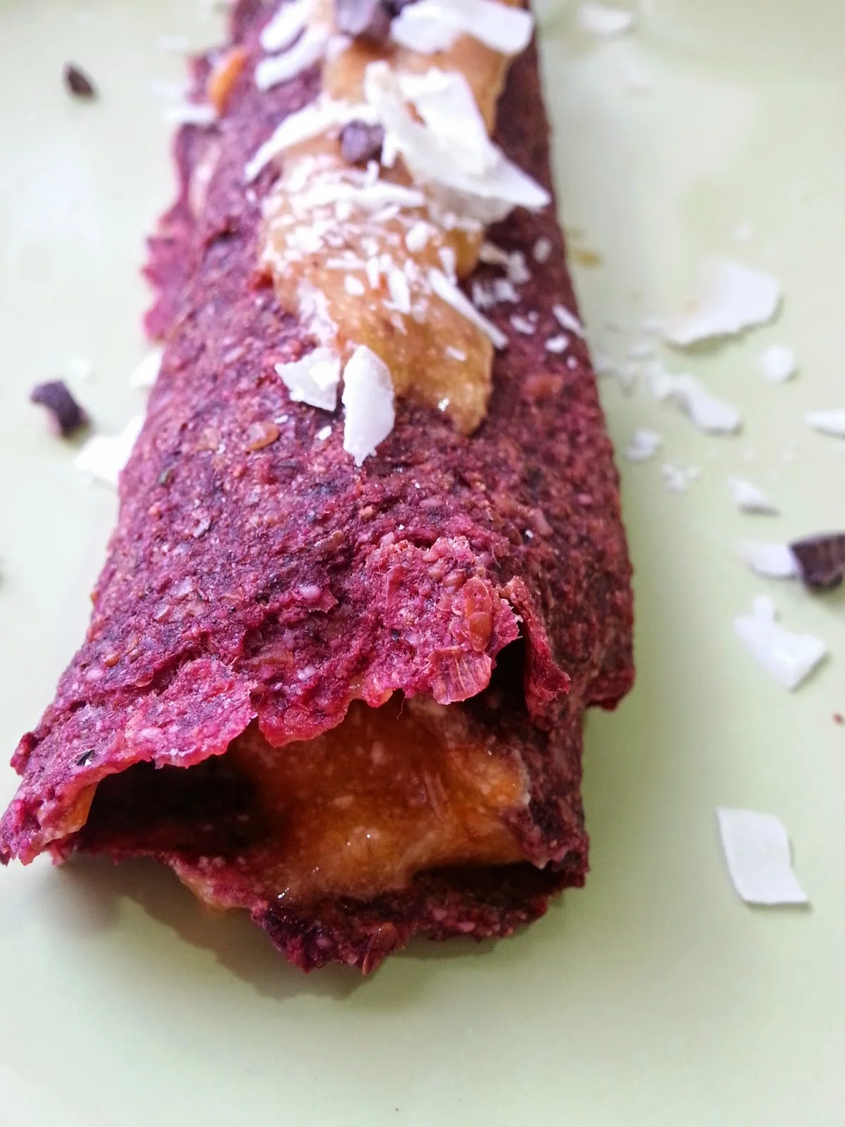 crudi roll de palosanto Dra. Odile Fernández alimentación saludable anticáncer
