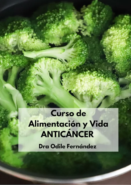 Curso on line Alimentación y Vida Anticáncer, de la teoría a la practica