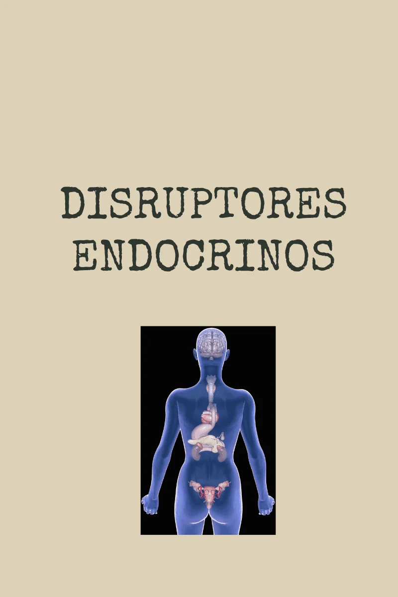 Disruptores hormonales y su coste para la Seguridad Social — Dra. Odile Fernández, oncología integrativa