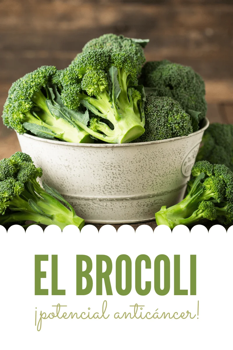 Ramilletes de brócoli fresco — sulforafano e indol-3-carbinol, sus compuestos anticáncer