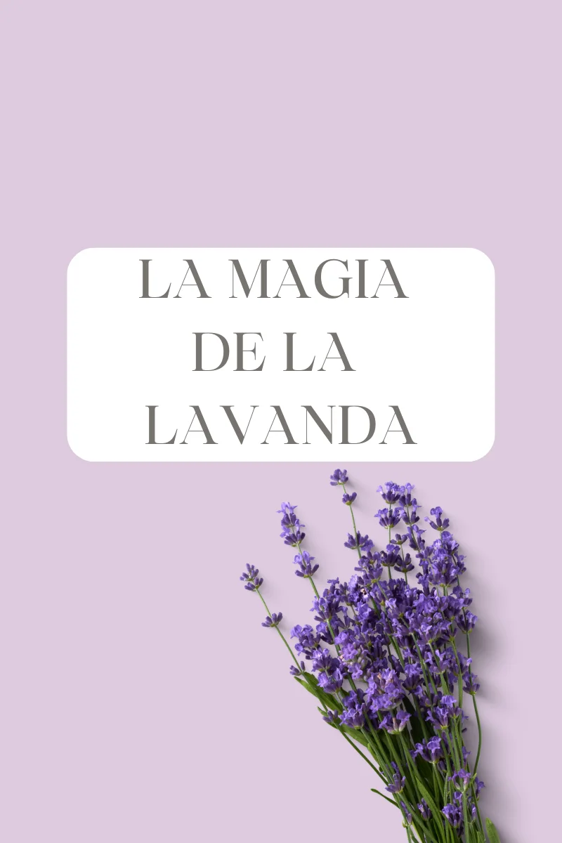La Magia de la Lavanda Dra. Odile Fernández alimentación saludable