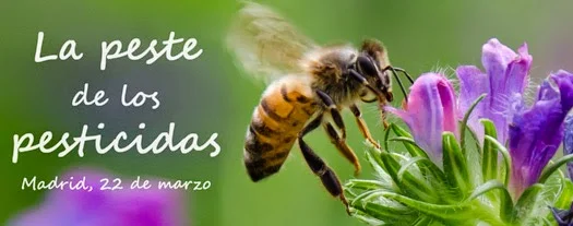 La peste de los pesticidas: cómo afectan a tu salud