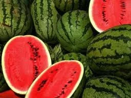 La sandía, una refrescante fruta anticáncer