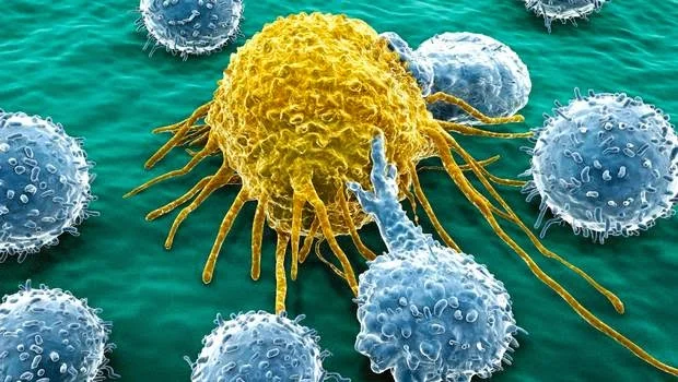 Las células tumorales son adictas a la glucosa