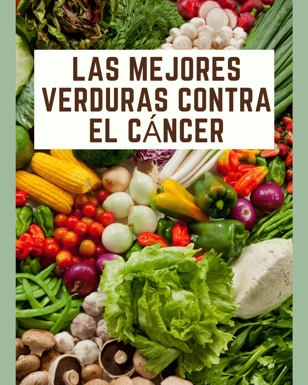 Variedad de verduras frescas anticáncer — crucíferas, ajo, cebolla y tomate