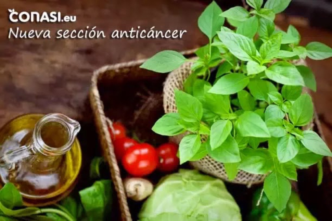 Sección Anticáncer en Conasi