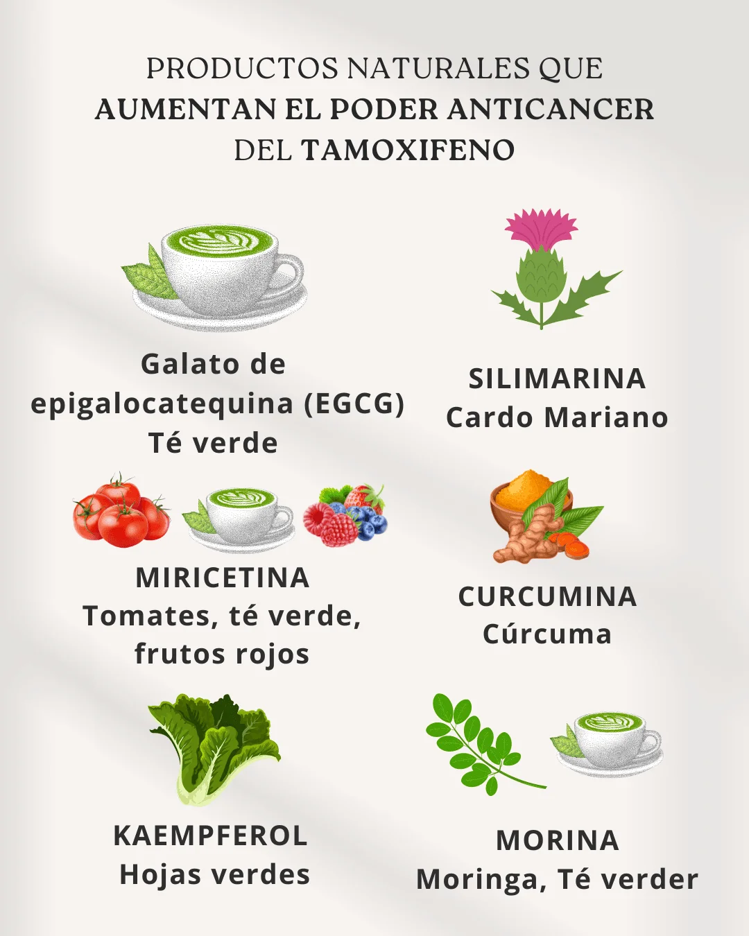 Taza de té verde junto a hojas frescas, aliado de la alimentación durante el tratamiento del cáncer de mama