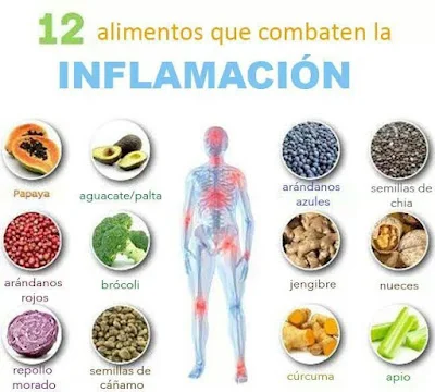 Alimentos antiinflamatorios Dra. Odile Fernández alimentación saludable anticáncer