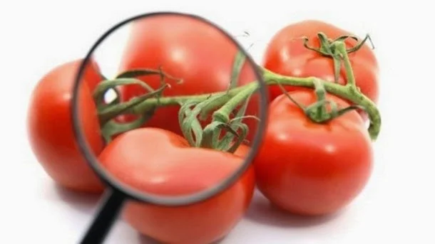 Una dieta rica en tomate reduce el riesgo de cáncer de mama